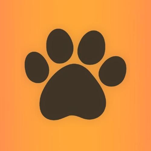 @topbestpets