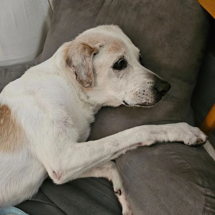 prayforcooper