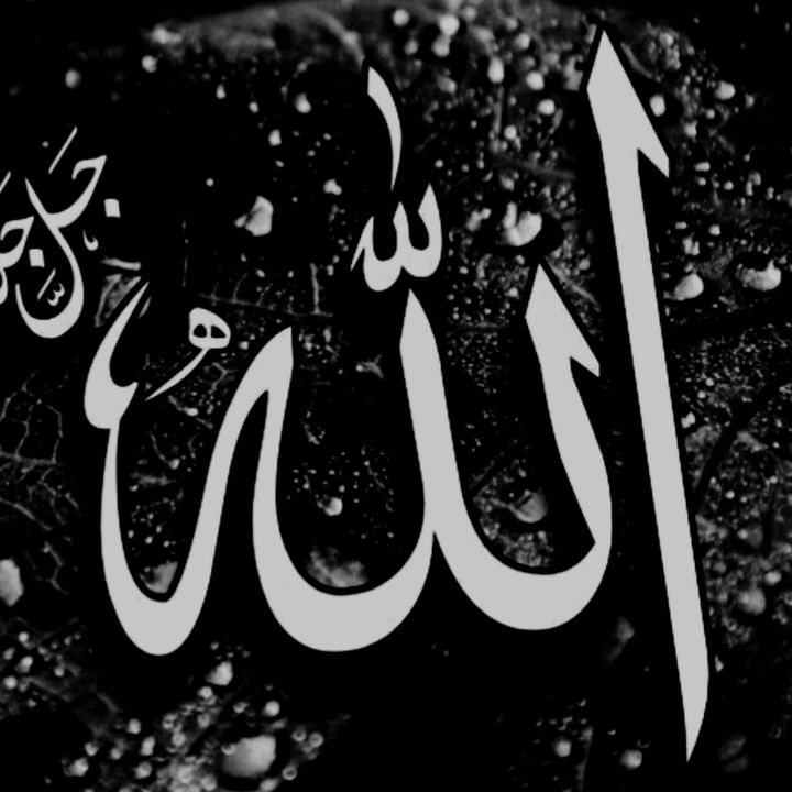 faizan_writes81