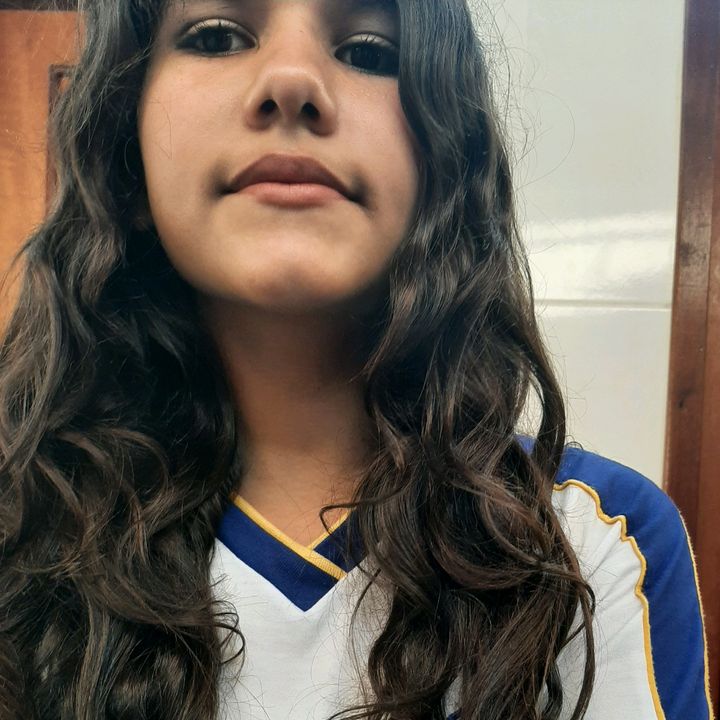 .viribeiro