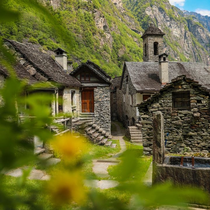 swissfever