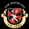 taekwondo - @pil_sung - TikTok