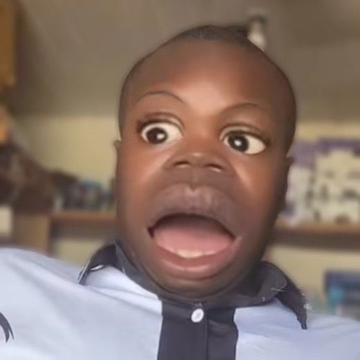 dnaztok