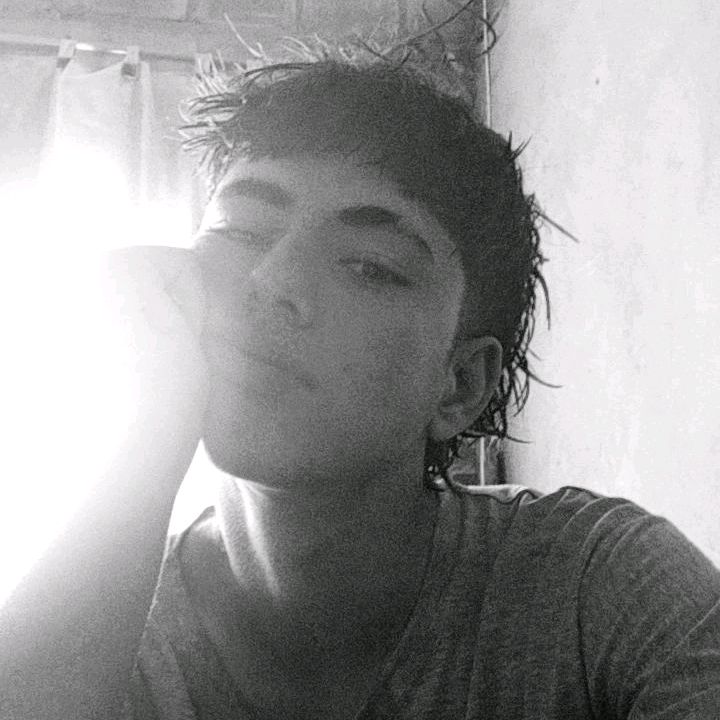 aandeer.m