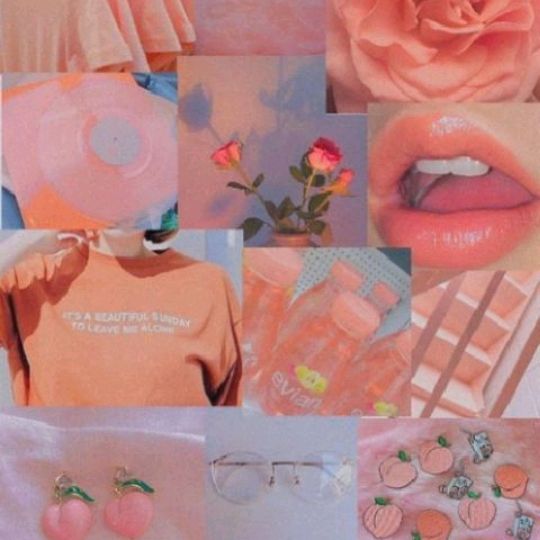 aesthetic_animo