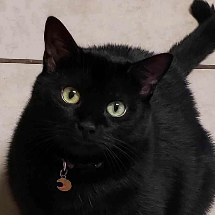 mamakeeksta