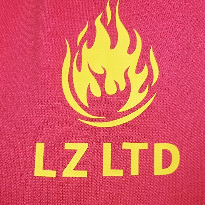 @lin.zhe.company.limited