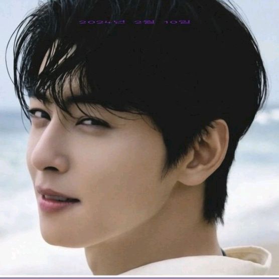 chaeunwoo1195