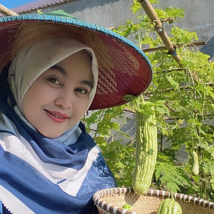 highligtlike