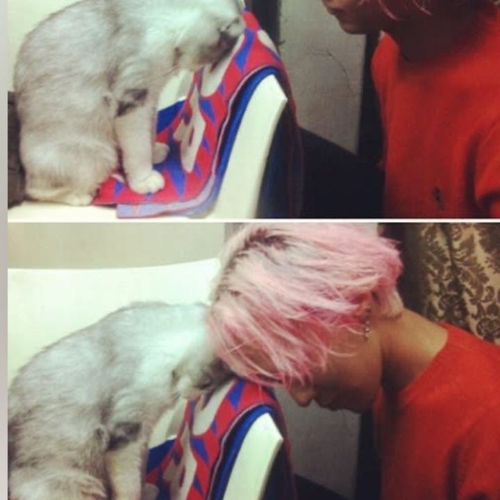 aeq_jiyong