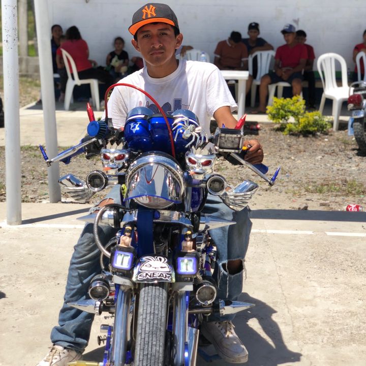 pavo117
