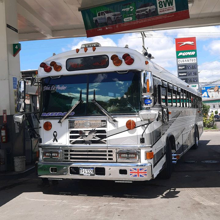 buses._.elegantes