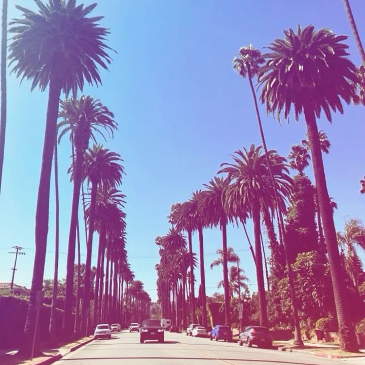 sherryvibes25