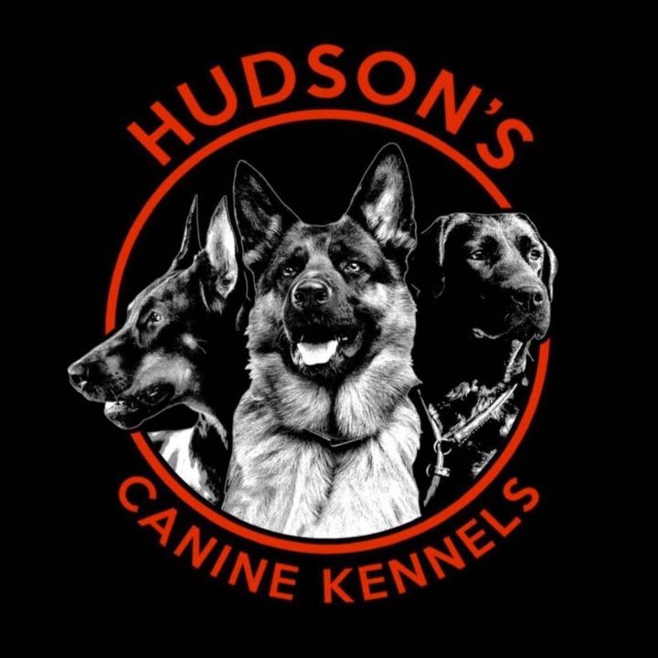 @hudsonscaninekennels