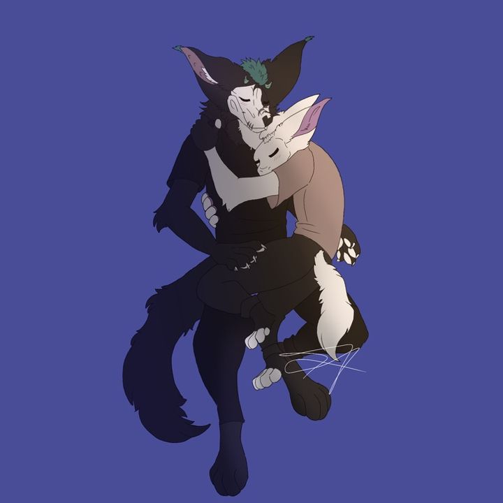 two._.gay._.furrys