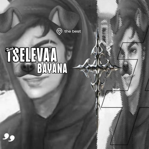 stelevaa_banni