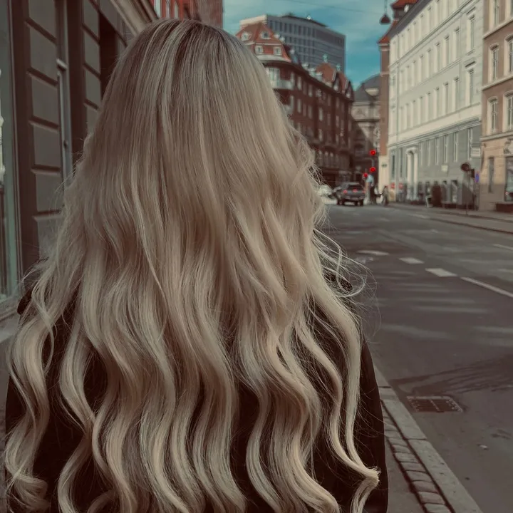 majapopovic