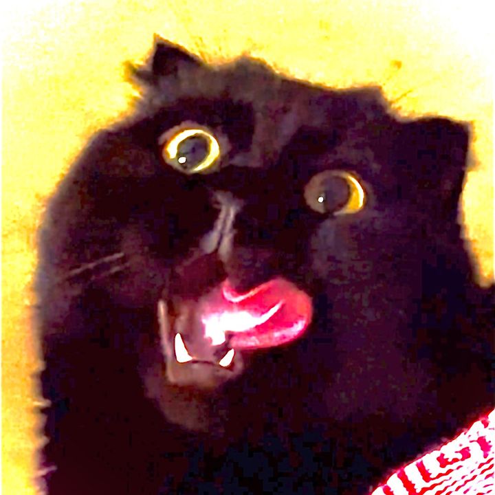 mimimisix