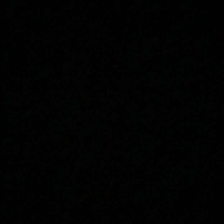 sofia.brm18