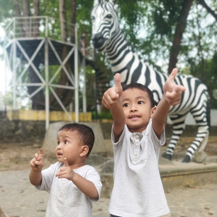 @shandra_ardi