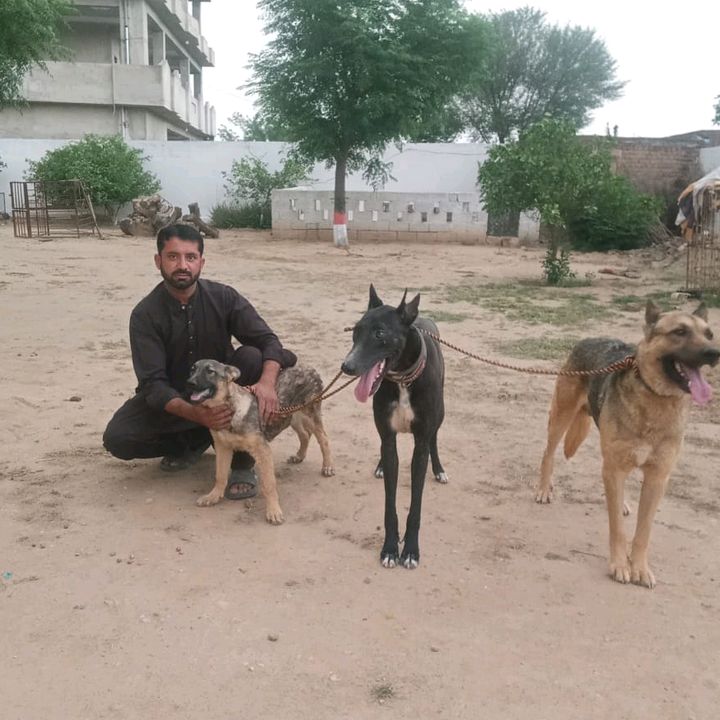 arshad.hussain9903