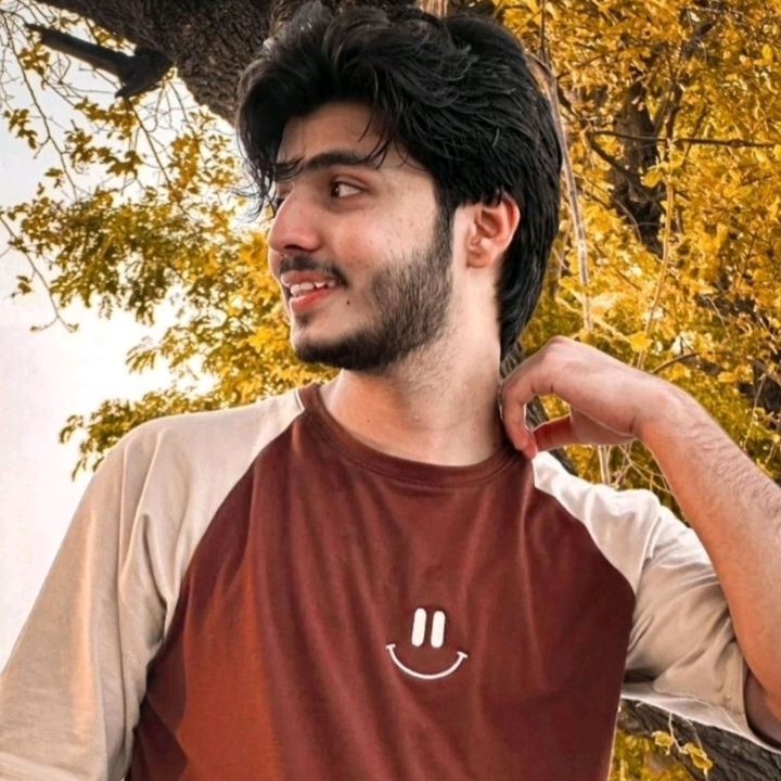 abdullahansari.fan