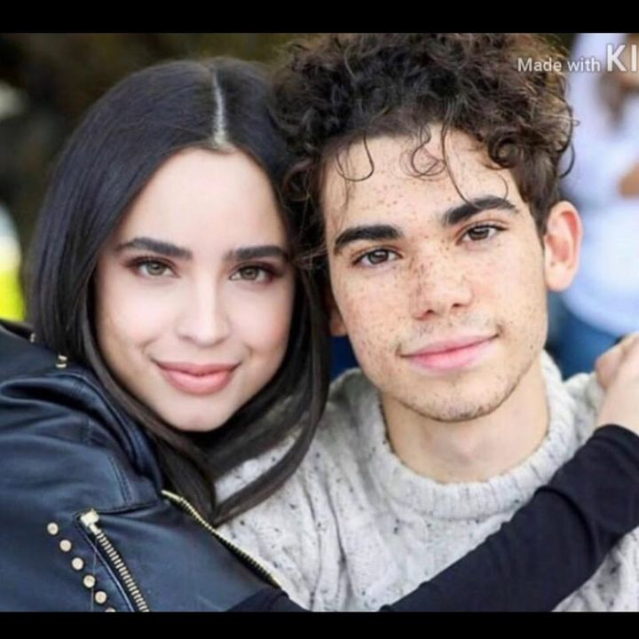 cameron_sofia_fan